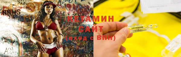 трава Коряжма