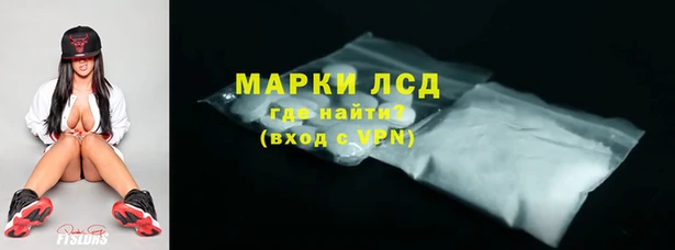 трава Коряжма