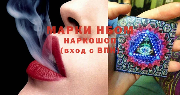 трава Коряжма