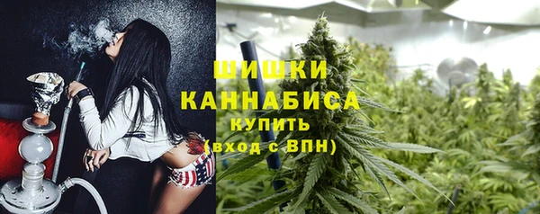 таблы Козельск