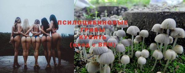MDMA Premium VHQ Козловка
