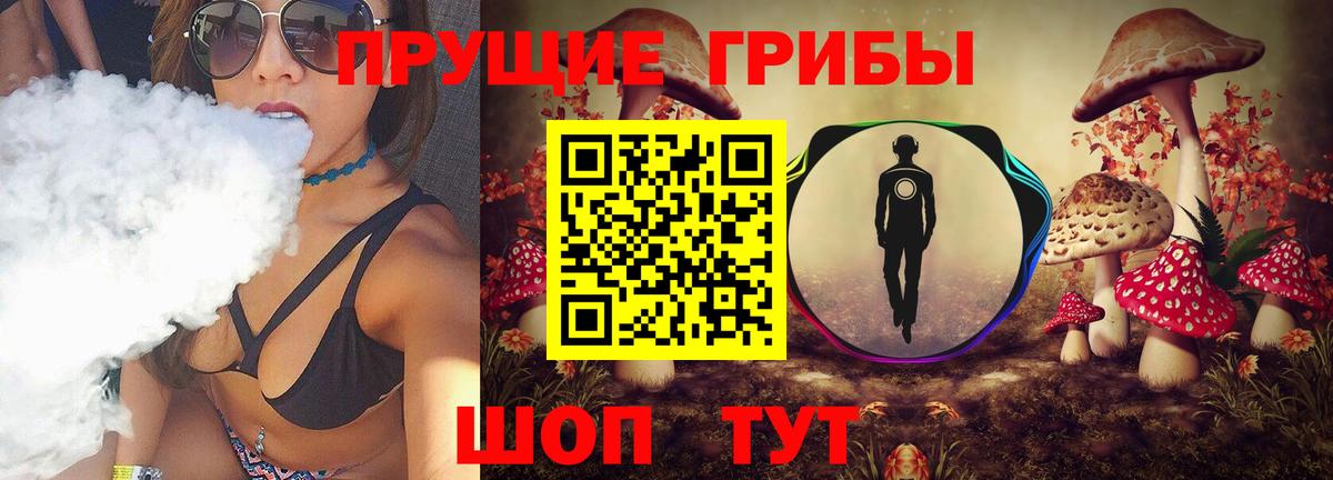 Кропоткин  Псилоцибиновые грибы прущие грибы  Вход с VPN 